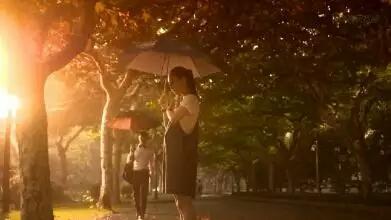 夕陽的孤獨寫景抒情散文