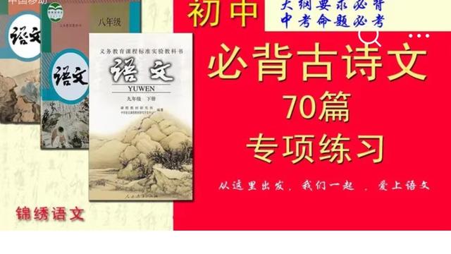 醉翁亭记常考名句（可行的马上采纳）