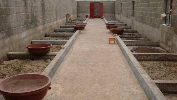 如何建造蝇蛆自动分离养殖房好呢