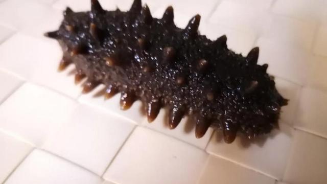 提取食盐的大致过程