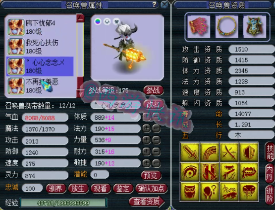 梦幻西游：雄鹰岭服战级别地府展示，160级大特技+各种极品宝宝！