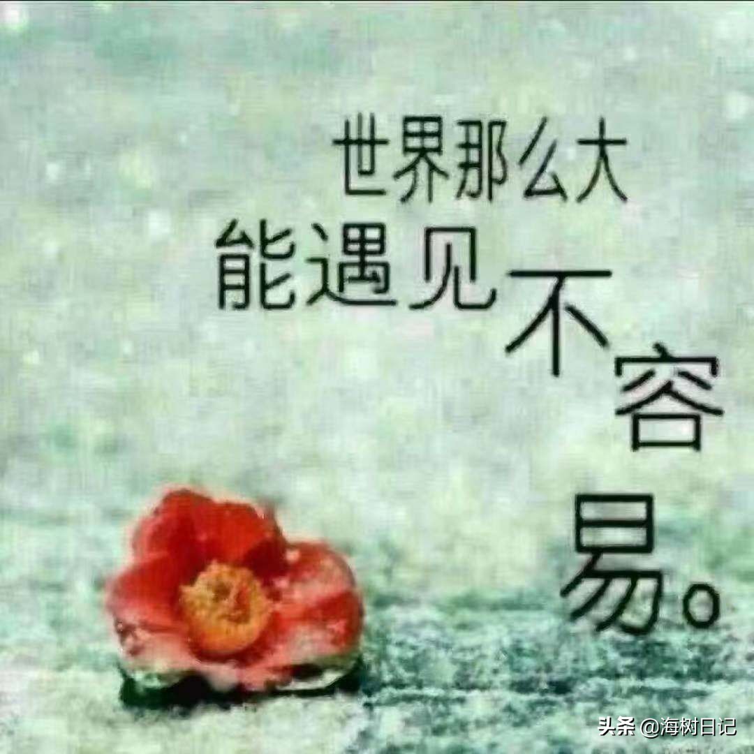 岁月无情催人老幽默句 表达时光飞逝的文案