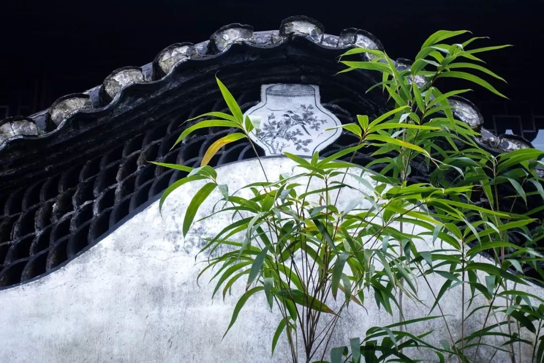 57句"竹"诗词:一竿修竹,数点芭蕉,伴你良宵