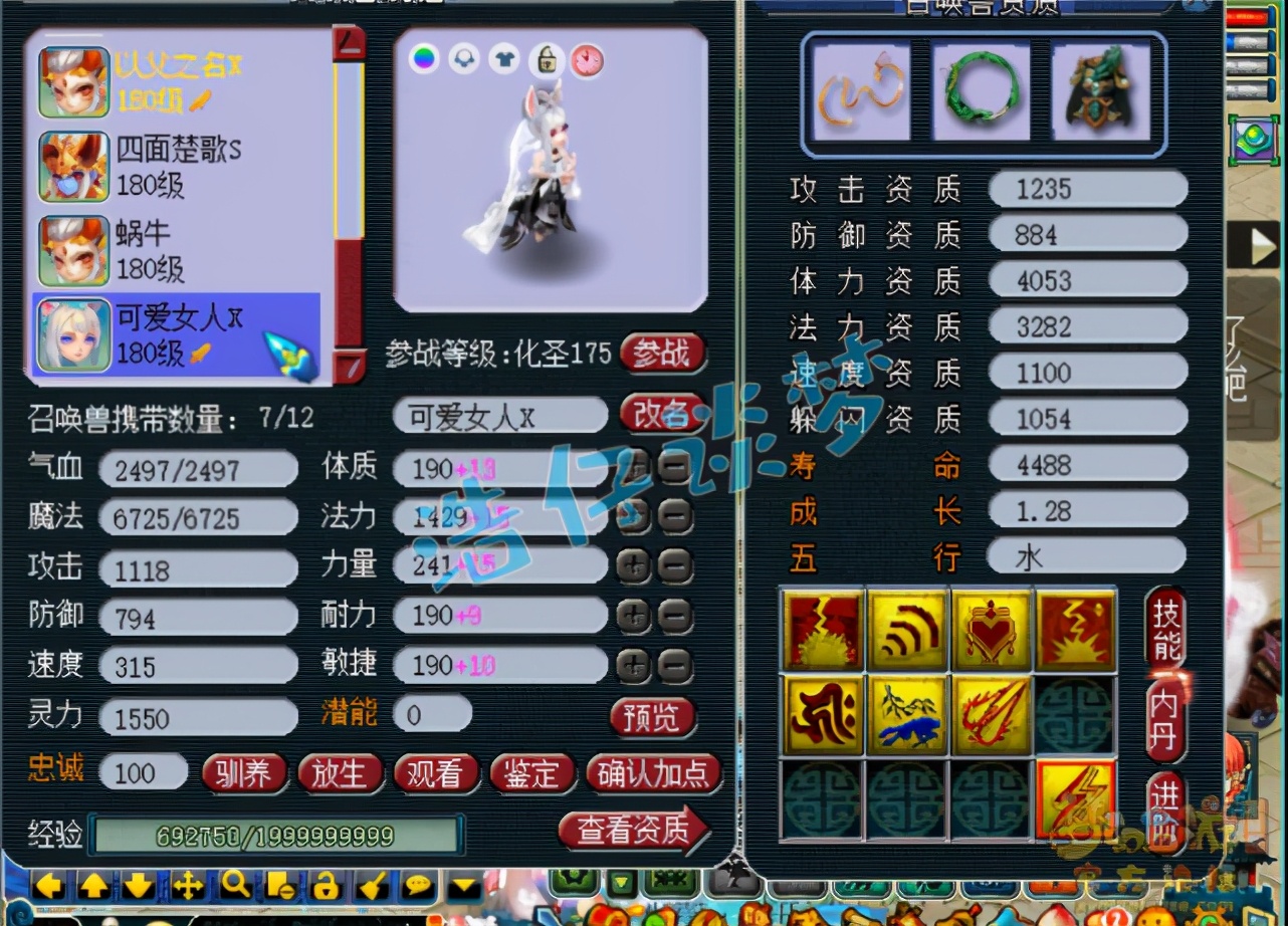 梦幻西游：造价百万175服战咒师普陀，6特技+6固伤，全服都罕见