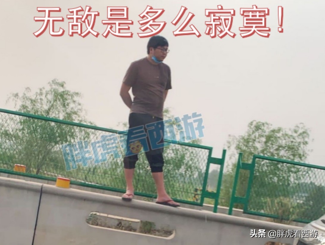 梦幻西游：珍宝阁豪取2020年第8冠，渡哥首冠&包揽冠亚军