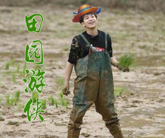 梦幻西游：新代言人的田园游侠锦衣设想，是你们想象中的造型吗？