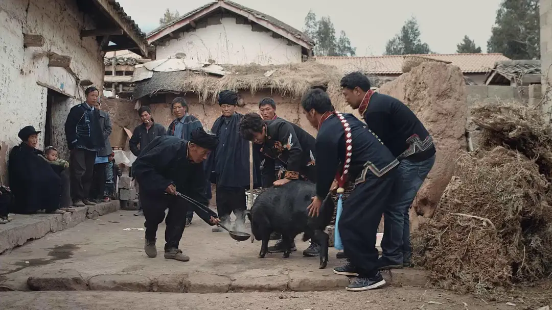 广东的两副面孔