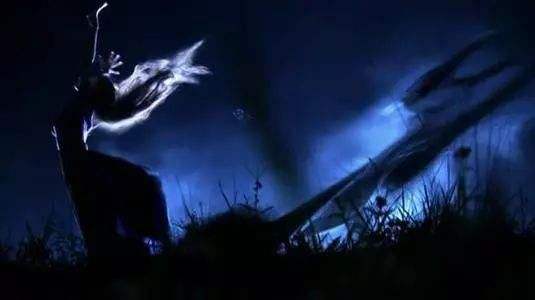 梦幻西游：神兵光武背景故事——九阴勾魂爪