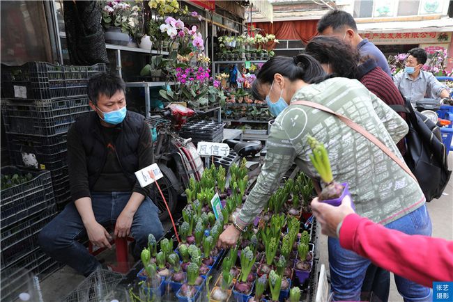广州花市春节到逛广州最大的岭南花卉市场买盆年花就过年