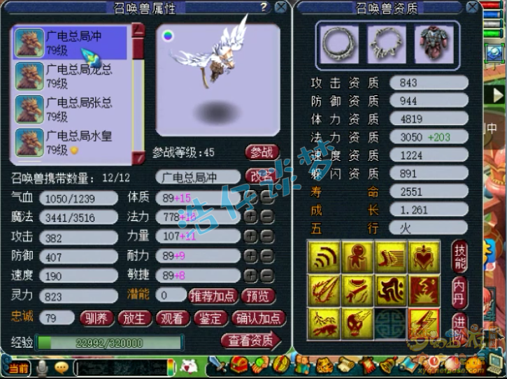 梦幻西游：69力天机，靠全身70级简易装备，获精锐群雄16强