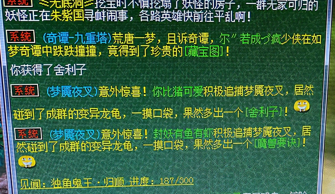 梦幻西游：全服第一净台雷鸟！17技能高资质高成长，服战神豪哄抢
