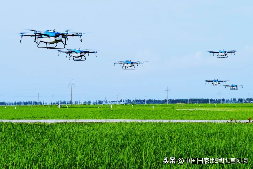 山东、河南、江苏、黑龙江…谁才是中国第一粮仓？