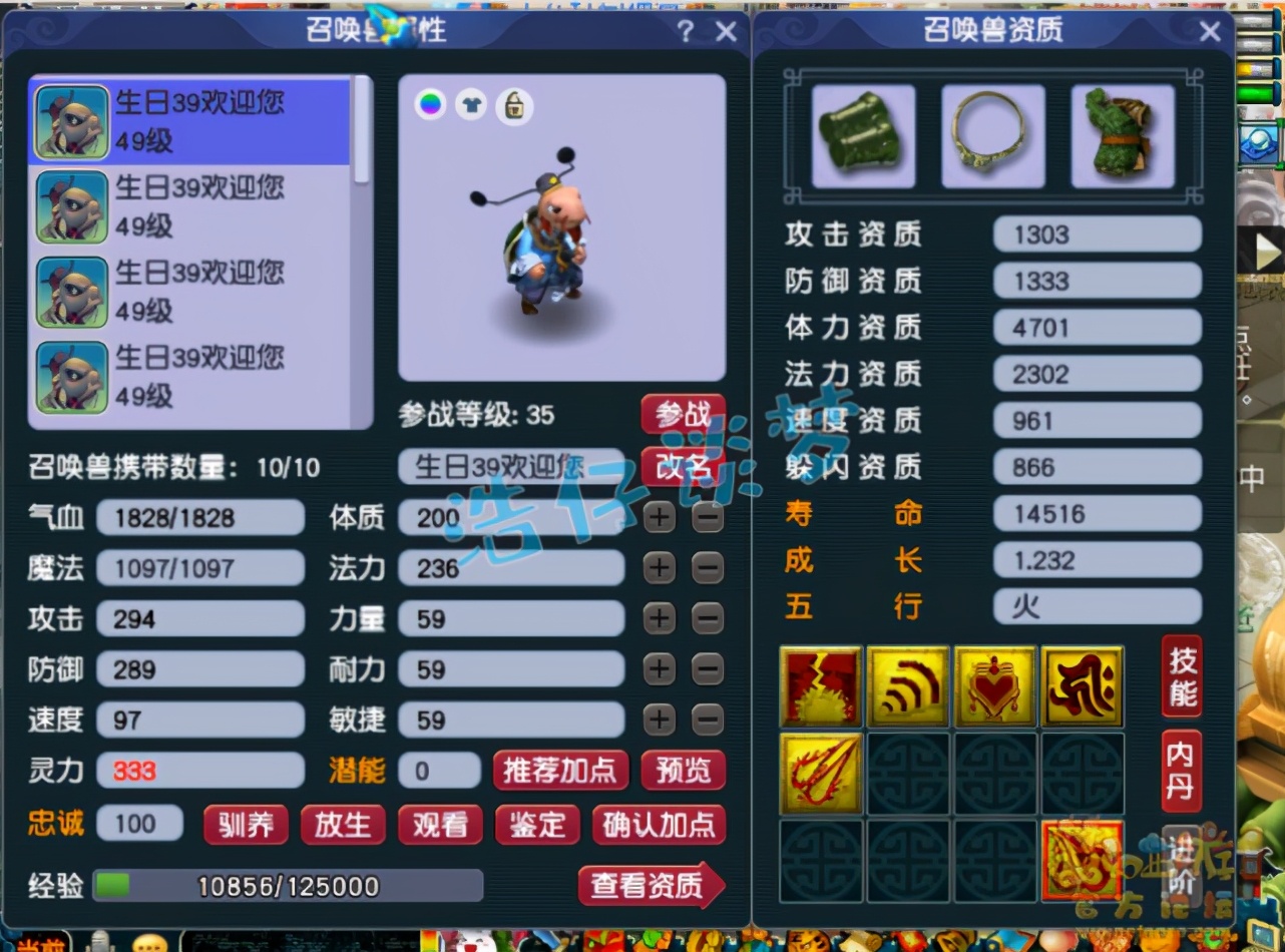 梦幻西游：39罕见花果山，全身30级装备酷爱龟丞相，8只带特殊