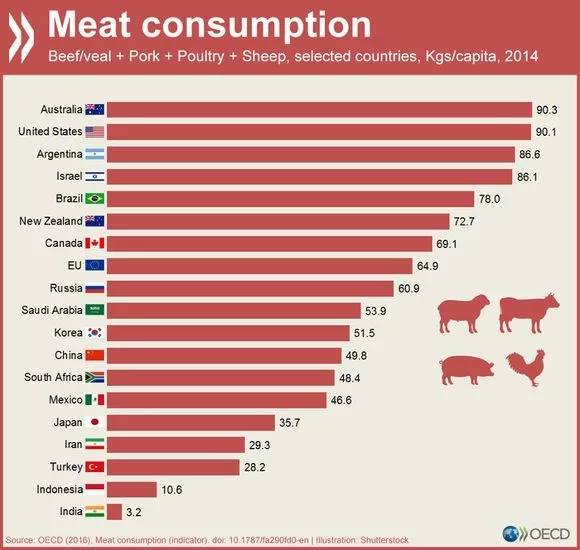 残酷的资源竞争：从西方人指责中国人吃猪肉说起