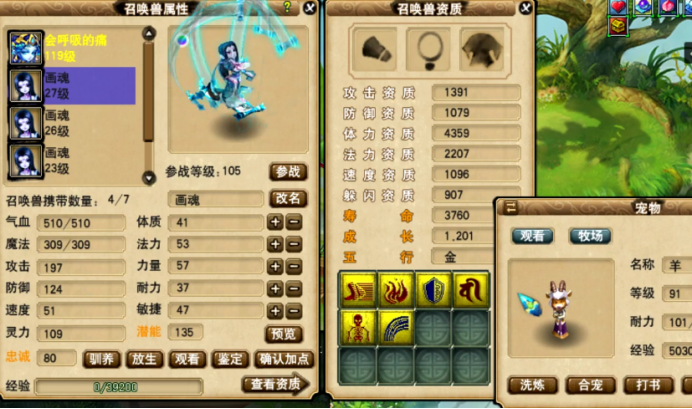 梦幻西游：玩家钟情于净台妙谛画魂，三组低成本合宠，收获不错