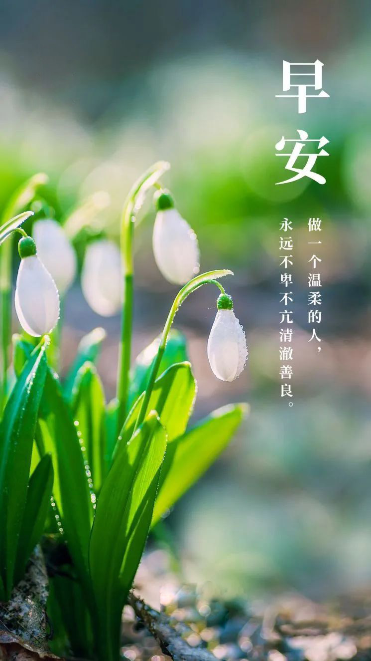 早安日签打卡图片正能量带字,励志早安心灵鸡汤,无惧风雨