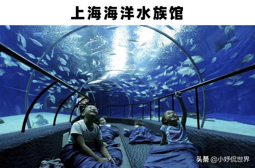 世界上存在着的11个巨大而神奇的水族馆