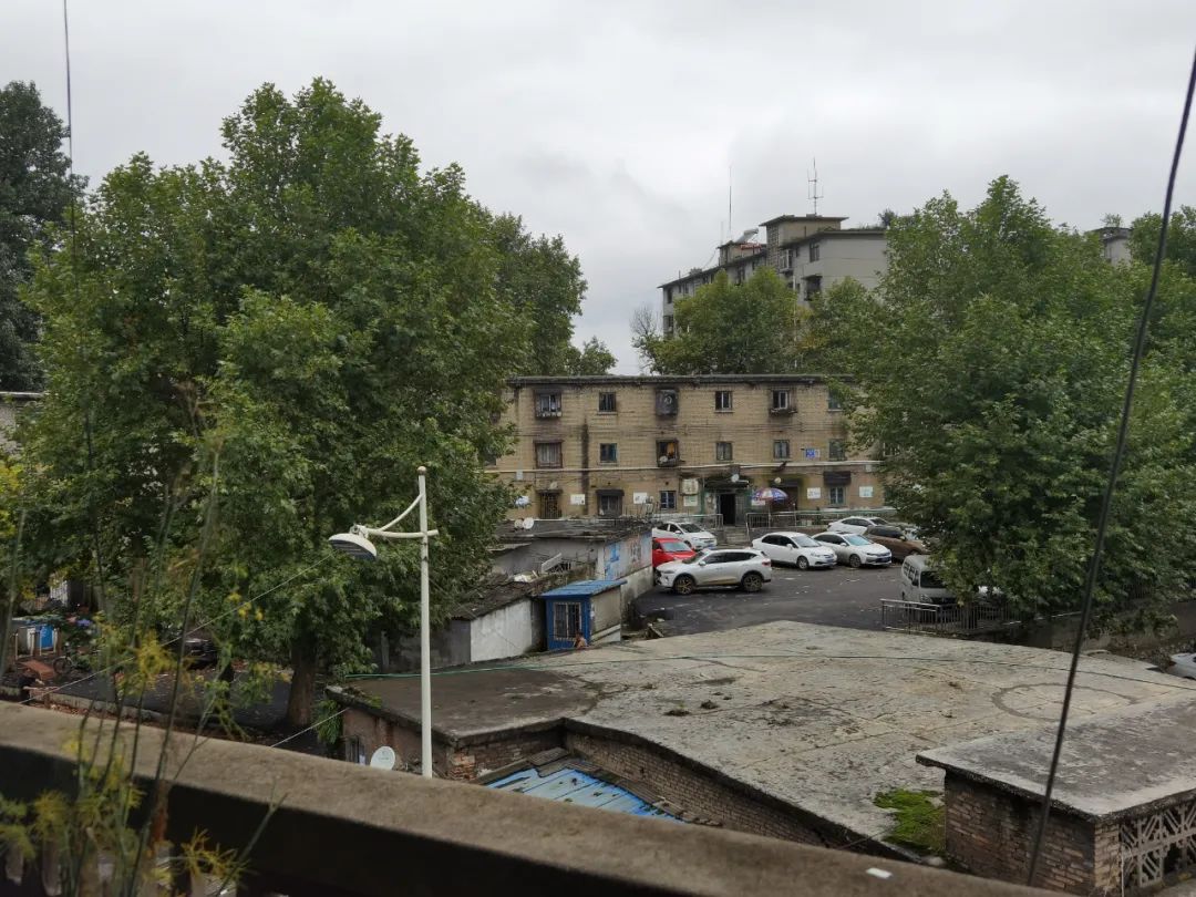 "完美家庭"的生死劫：妻儿遭碎尸，丈夫狱中喊冤