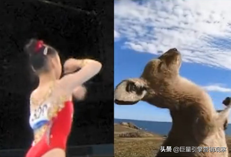 抖音热榜话题“袋鼠摇手”是如何做到一