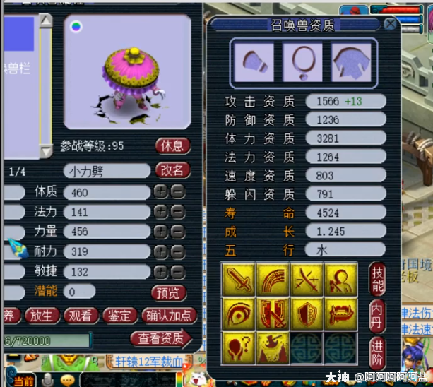 梦幻西游：追逐法系梦想，意外炸出无级别！但这不是我想要的