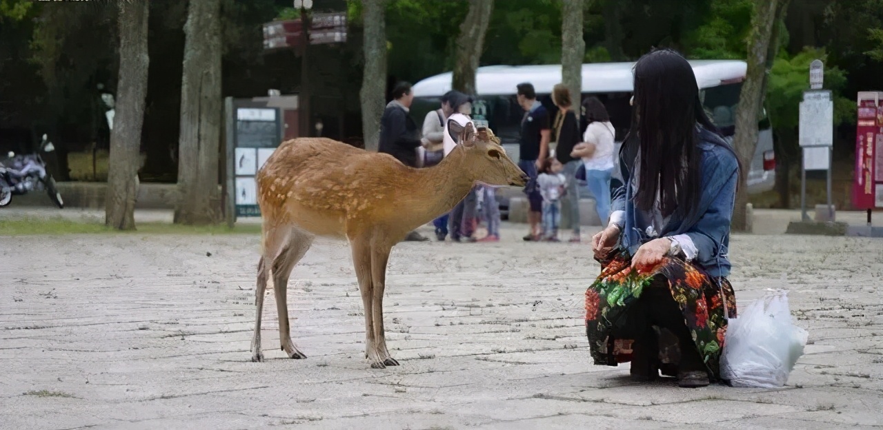 一个90后山西女孩四年的北漂日记