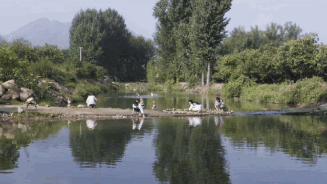 10个女友抱团进山，造出京郊一片超美野地