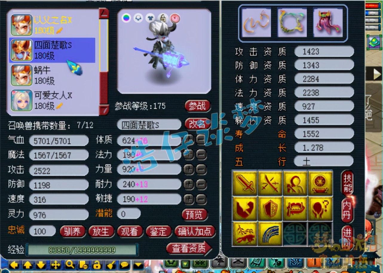 梦幻西游：造价百万175服战咒师普陀，6特技+6固伤，全服都罕见