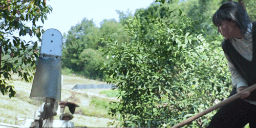 时间有点忒快了，又是一年忙秋收的季节