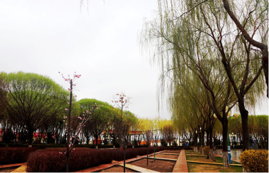 细雨濛濛,淅淅沥沥,无疑给大自然泼洒了一幅瑰丽的山水画卷,田野,树木