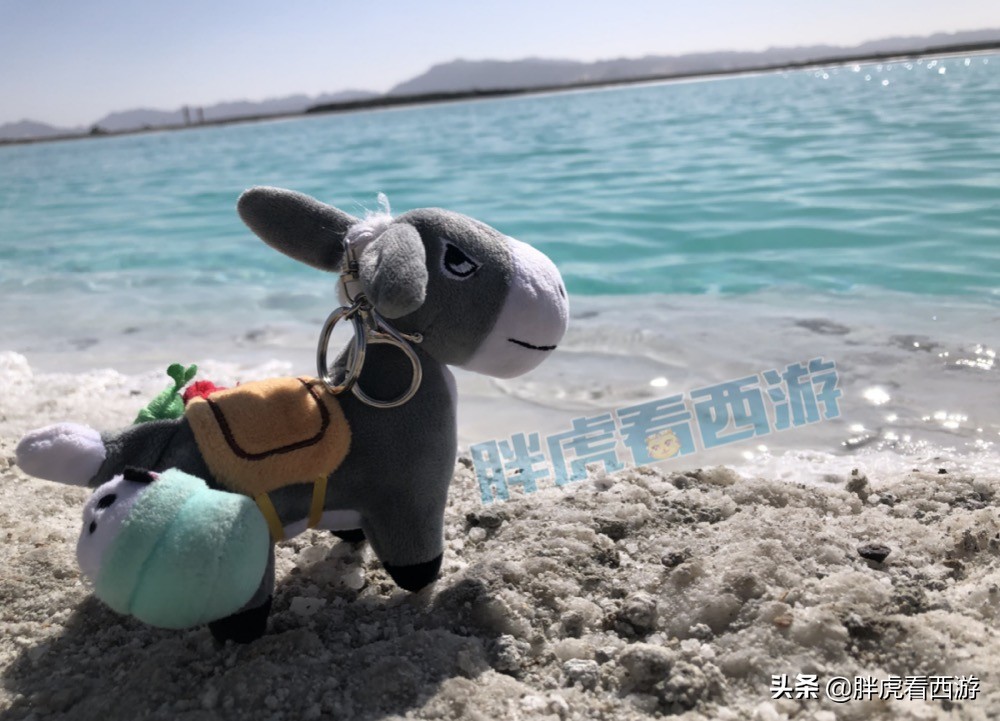 梦幻西游：小姐姐带小灰驴浪遍全国，抗癌玩家收到秋杀冠军奖牌