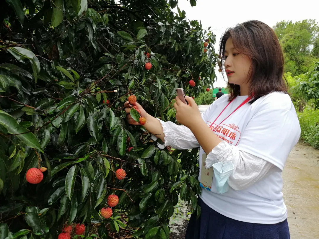 2021汕尾荔枝网上行暨名特产品直播带货节(海丰分会场)于6月12日上午