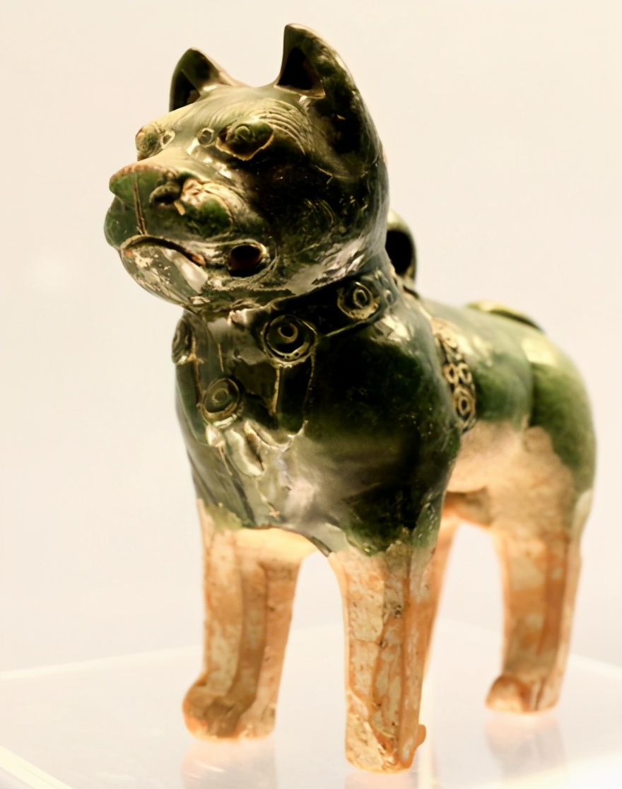 狗、狗肉、狂犬病与人类