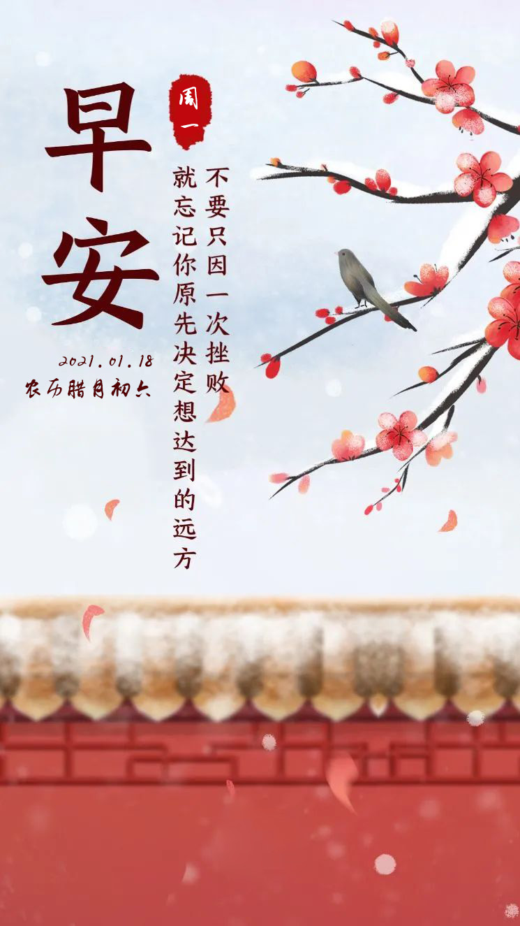 周一发朋友圈的早安正能量图片语录,阳光暖心问候,渴望进步