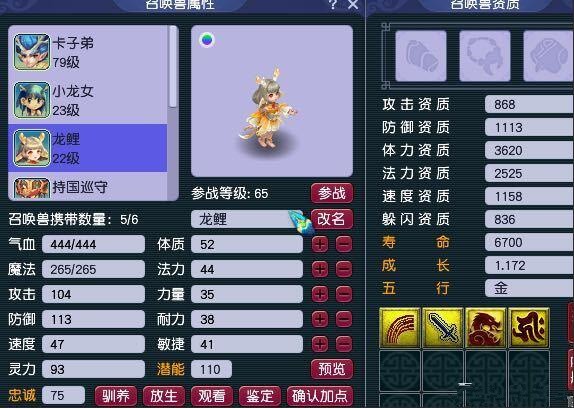 梦幻西游：这是不是神天兵最帅的锦衣搭配？不动站着都很好看