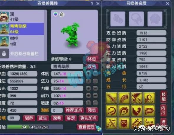 梦幻西游：老王更新净台护盾宝宝，全服第1的须弥芙蓉求超越？