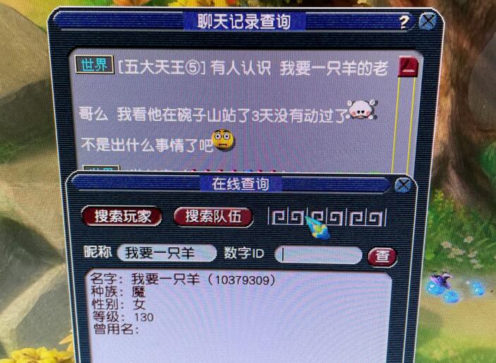 梦幻西游：梦幻的热心玩家就是多，别人挂机开视野被当成了出意外