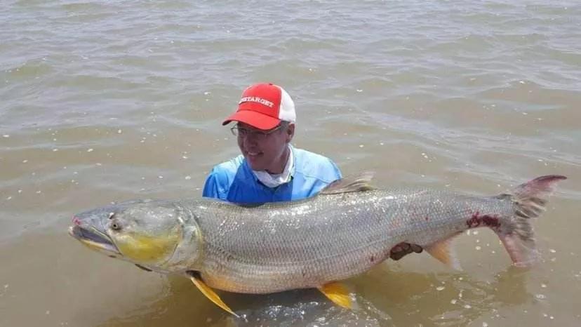 长江科考:三年来再现"神秘物种"鳤,注意别把它和鳡鱼弄混了!