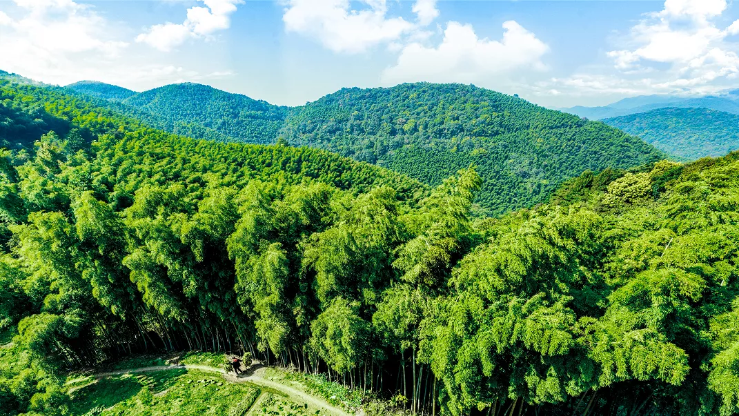 夏日咸宁这个盛夏调色盘里一定有你偏爱的颜色