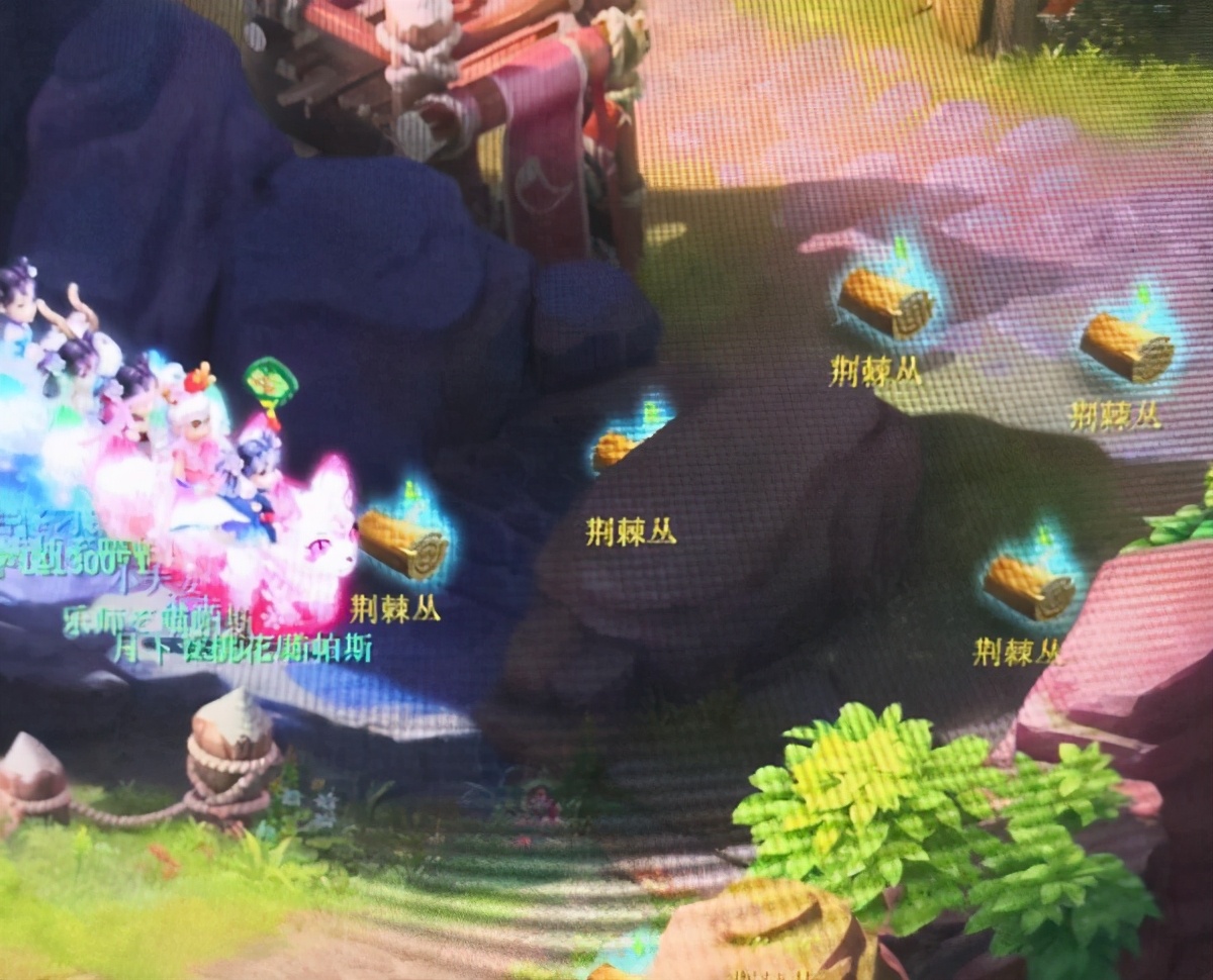 梦幻西游：乌鸡国的荆棘丛你是怎么过的，是不是先不管国王？