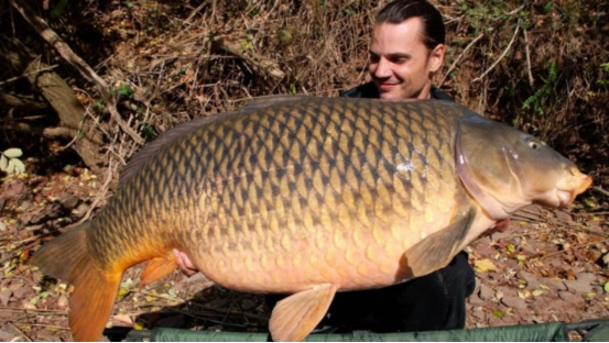 在美国胖成猪，在中国为什么却“活”不过童年