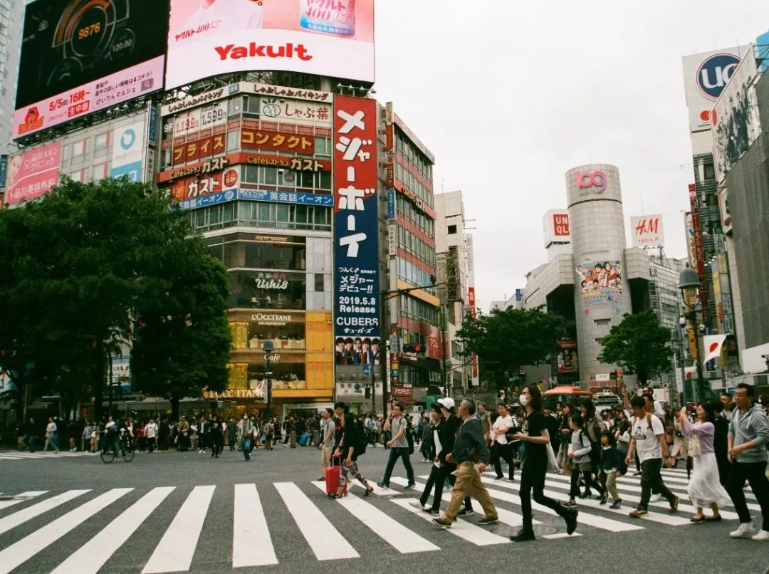 活得小心翼翼，“爸！你什么时候变得这么窝囊了？”