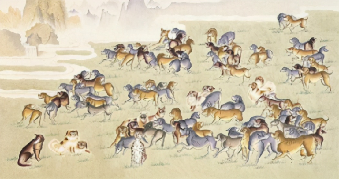 狗、狗肉、狂犬病与人类