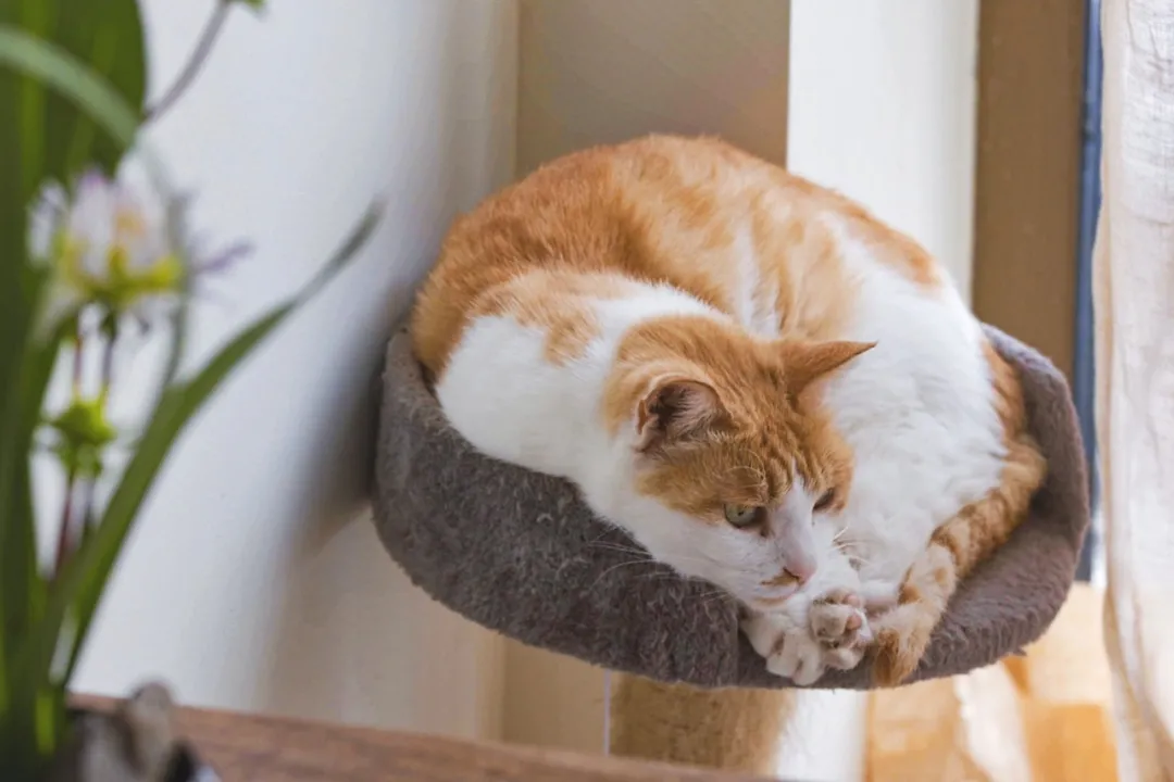 10个女友抱团进山，造出京郊一片超美野地