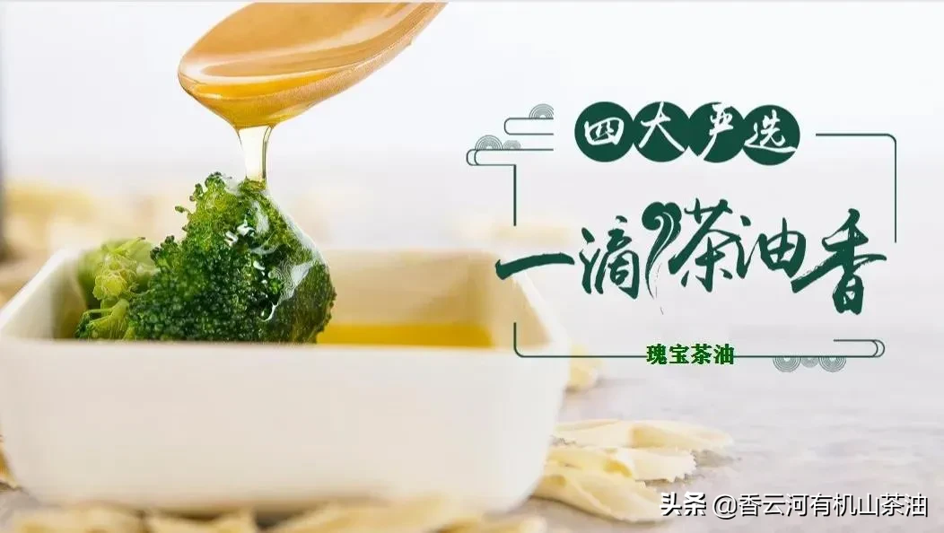 山茶油的八大功效(山茶油的吃法)