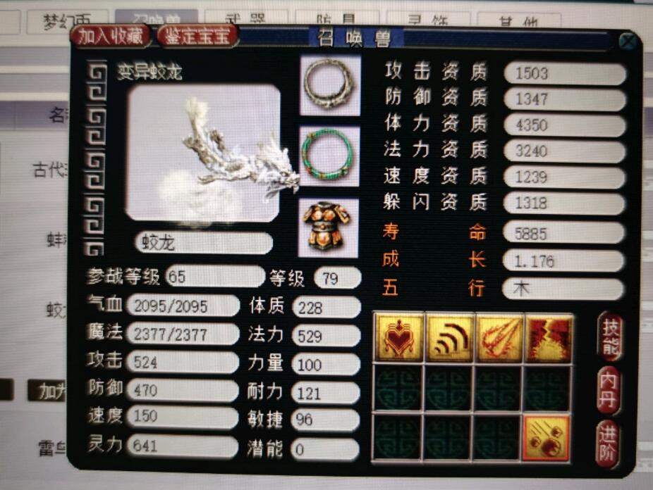 梦幻西游：新手服是被玩家忽略的特殊服务器，能刷免费改名的机会