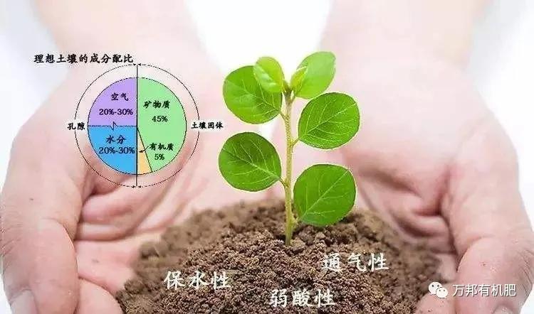 3个方面，有机肥料改良土壤的有机质及水分状况