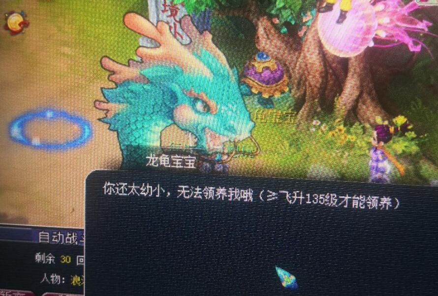 梦幻西游：不受专用衰减限制的物理系梦想，可以肆意的转门派