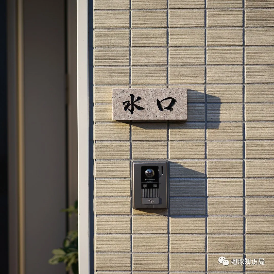 日本，成人收养