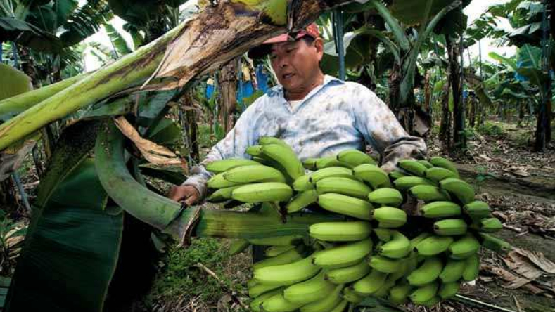 ECFA面临终止？台湾迫切希望大陆“拉它一把”