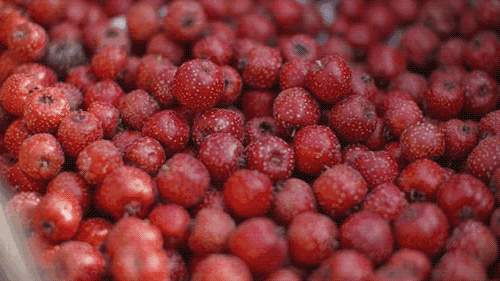 10个女友抱团进山，造出京郊一片超美野地